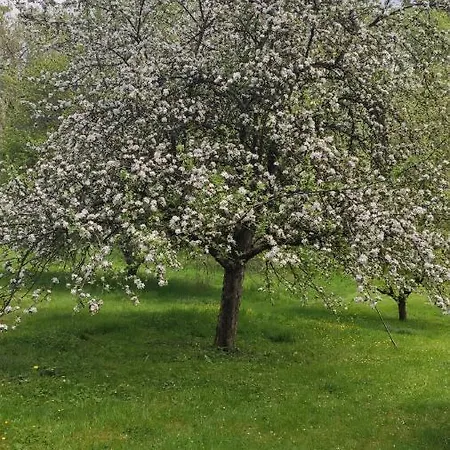 Petit Coin De Paradis * Fontaine-les-Luxeuil
